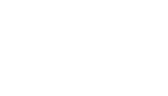 Axcess Logo